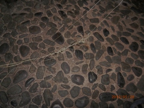 edpn2jm8humusp8t6v65_480_480-e5ea54ae.jpg