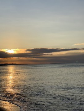 eds6u6z9a5gycy52embu_361_480-393fdd7f.jpg