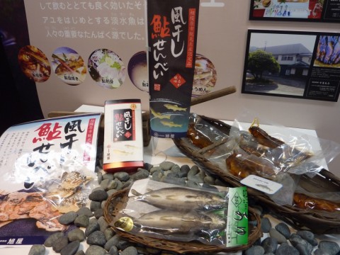 edue5h69s5ciku469jmz_480_480-bcd99f50.jpg
