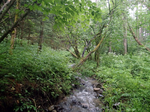 ee3hcy6pm5rokn2iruse-da849f54.jpg
