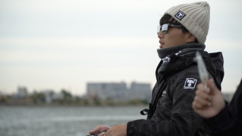 ee48ftvzvpuppgd3sso9_480_480-304ab8c8.jpg
