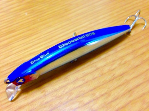 eeshsg5vaouxpbotjs8t_920_690-8e58933a.jpg