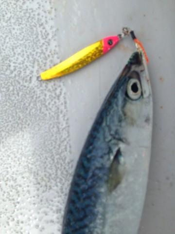 eet5yiwhy57betujxk7p_690_920-df781fa0.jpg