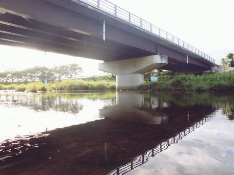 eethy72ja7j3zukoahxc_480_480-9154323a.jpg