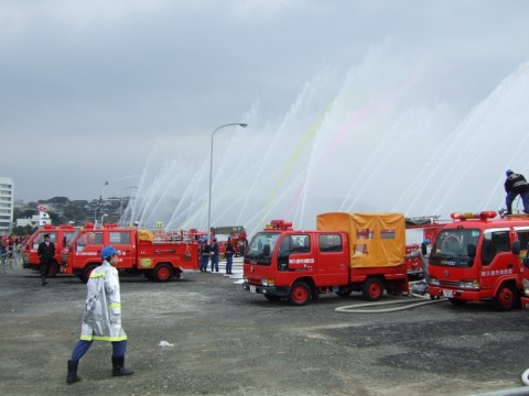 eeuwa9jgxcunx8skg3jf_480_480-732857fa.jpg