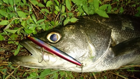 ef6axxhx6xd4hzc6un76_920_518-bd996292.jpg