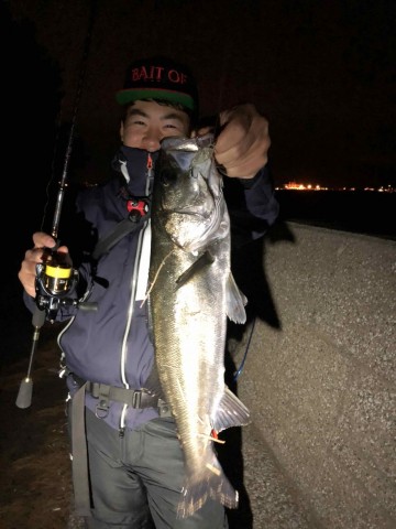 ef8wu59o75ijzgngbwww_360_480-6cfa37df.jpg