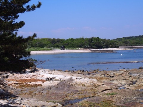 ef9bndawwccua8psh9z3_920_690-cf85318d.jpg