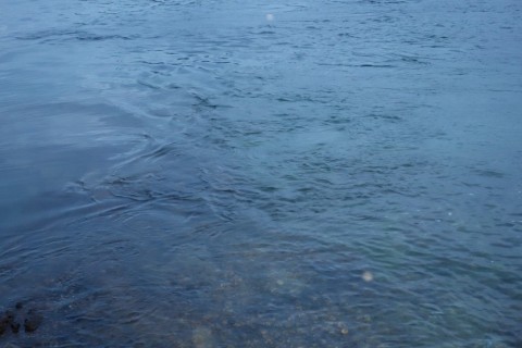 efhcg8hguzd9amjyz8zc_480_480-8d557071.jpg
