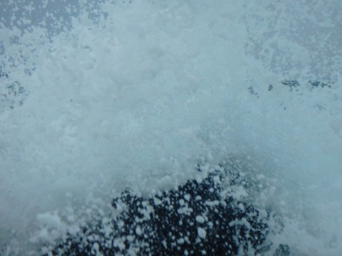 efox4phwjxi5cgzs5v8o_480_480-28c2f1da.jpg