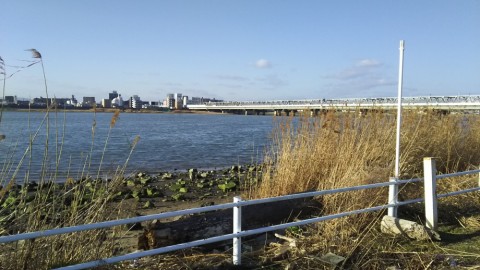 efpr86tgik7o5azvbk5j_480_480-d0620f64.jpg