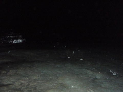 efwa2duuezet8urz33ix_480_480-c74f9a92.jpg