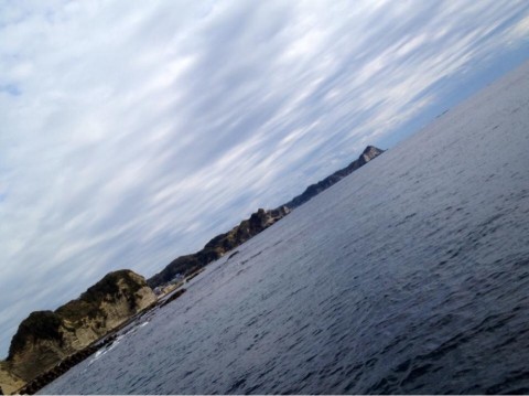 efxv3fo4fgmujtomimwo_920_689-a8359590.jpg