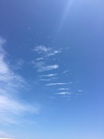 efygja6vv3333p488aev_690_920-4da55917.jpg