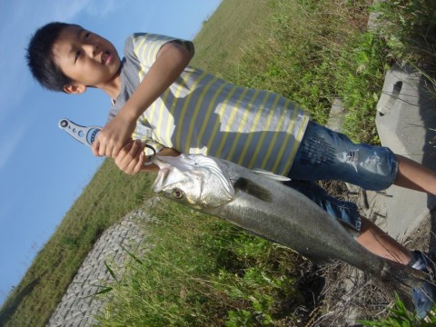 eg25id7v52rp5g8au36c_480_480-f7ee5302.jpg