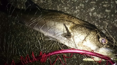 eg3d96dbwb6ax7zt2sig_920_518-bc01c7f5.jpg