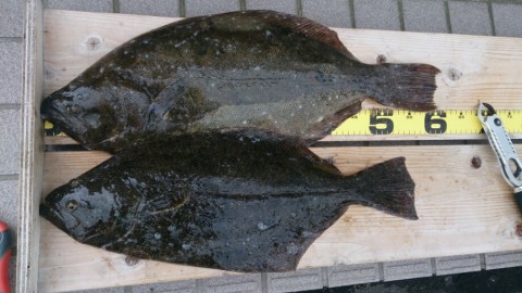 eg89gaipadsr4m4c88bf_920_517-a06db08e.jpg