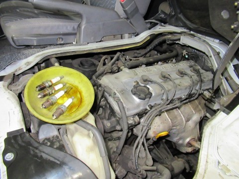 eg8guf2nbkmafa84au7h_480_480-8fec9c45.jpg