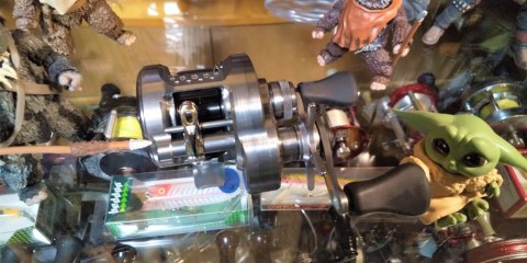 eg9z5ciny62e5dfydxi5_480_480-f732308c.jpg