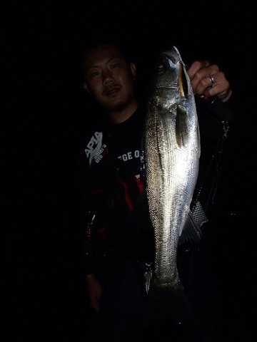 egabe4urz3bow7whzhcd_480_480-cf571131.jpg