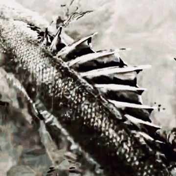 egddsv5o6fiuucpdbd4u_400_400-e8b63497.jpg