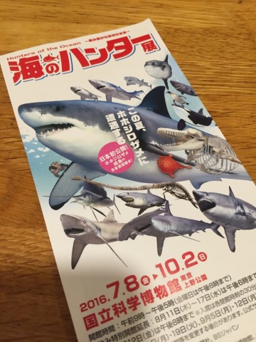 egj8c7xxsrzo96pnjx3r_690_920-772ae97b.jpg