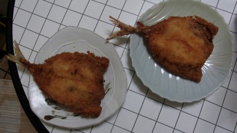 egkRBusKLKU9vOGV9feR_480_480-bf299b58.jpg