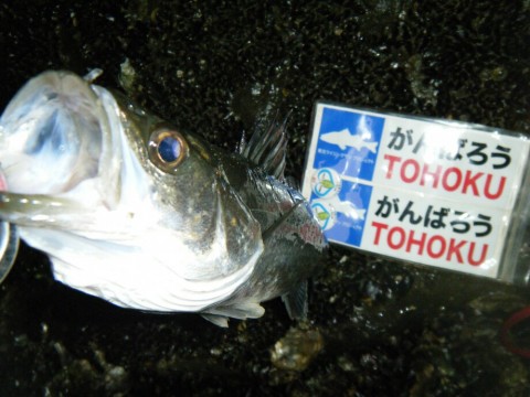 egkaucxvyukckchs2nup_920_690-e3dd0816.jpg