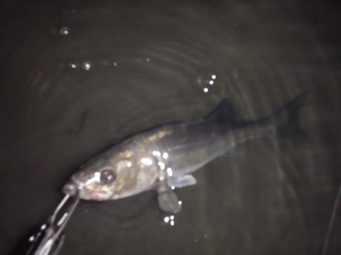 egkwcxgrpbr7b9mza8tv_920_690-b5639036.jpg