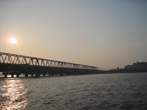 egsxbabf3ikg83e534f9_480_480-4593cf98.jpg