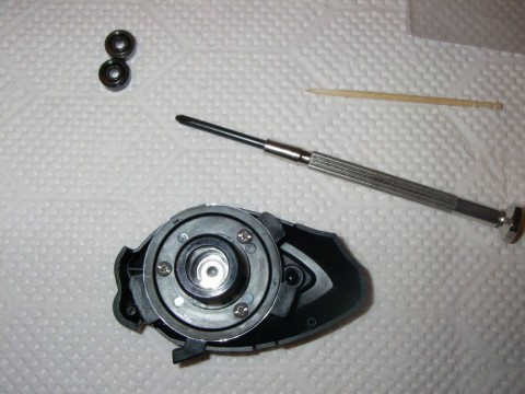egtzm5xismjmo99y8jt2_480_480-b1b3f423.jpg