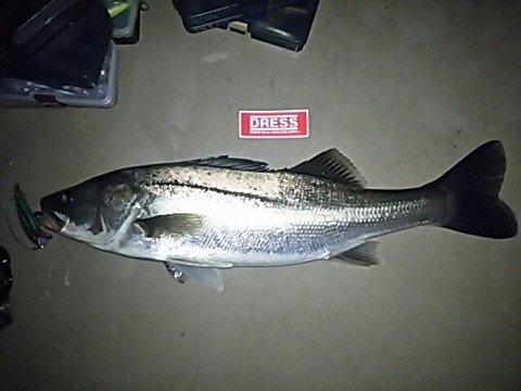 eh5gonwpabnxcr6fcj3r_640_480-06c43828.jpg