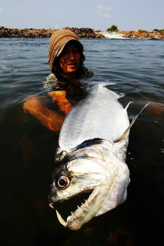 ehuzht3yue5t3zn9kkim_480_480-27b418f8.jpg
