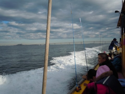eimupun3crnyhcyepa7p_480_480-3946ea10.jpg