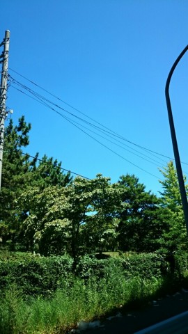 eit24kemjkmspxndc7hc_518_920-30d847bf.jpg