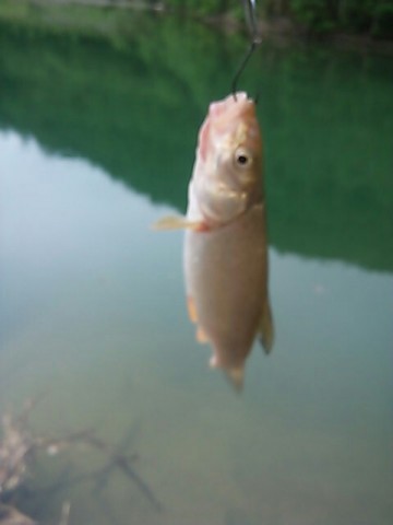 eiyib724va2bdgtygfgk_480_640-df590e41.jpg