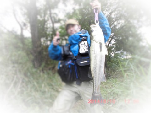ej5n6is5mcw3848n37vc_480_480-df37ac83.jpg