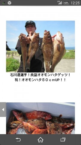 ejfb4ffkcutratfsksdh_360_640-dd7fbce6.jpg