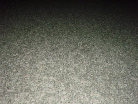 ejjoagd4oyetn5iyyijd_480_480-85a3c439.jpg