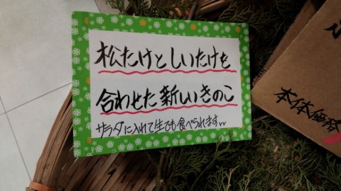 ekreoakfgsmh8yu7nsx5_920_518-4506eb84.jpg