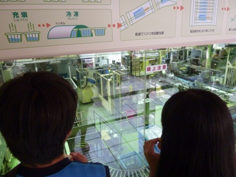 ekuau4cpp64d2iue294s_480_480-d49917bb.jpg