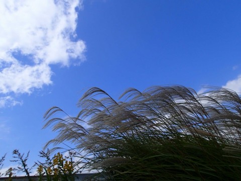 em67i67gzwisy58n4zh6_480_480-2e4f68f7.jpg