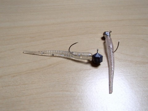 ematxot4hf223gx62ok3_480_480-b92efafc.jpg