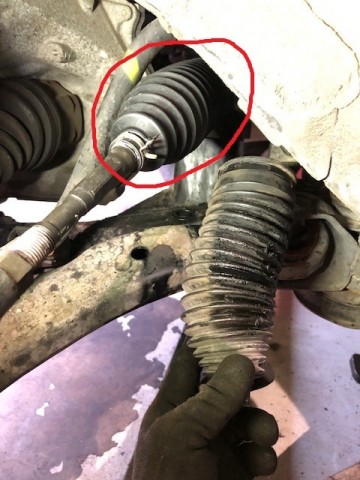 embnetusopv9bov7bshp_480_480-2bee1906.jpg