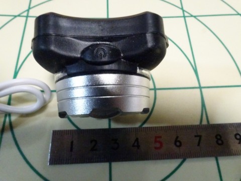emdtbpv3mfemur9bd265_480_480-e02a68f5.jpg