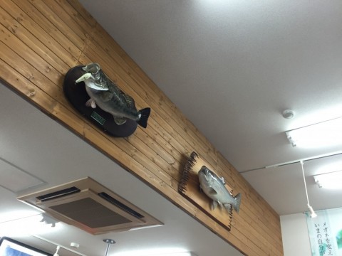 emfkpy8rgco3ovvgeim9_480_480-e5b58bcc.jpg