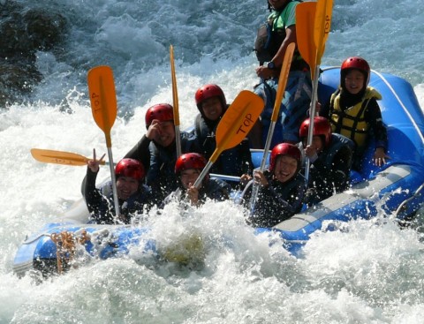 emgrrzimhs9wfzpjdhif_480_480-da793102.jpg