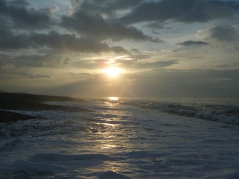 emh9syo5ygsy2ftmaxc3_480_480-6b1af698.jpg