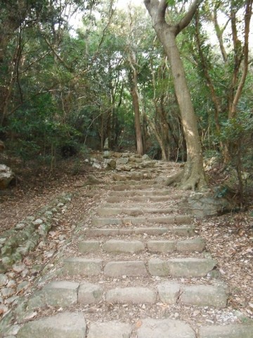 emkfyir7hp4gfdgkiaeo_480_480-970ccfd7.jpg