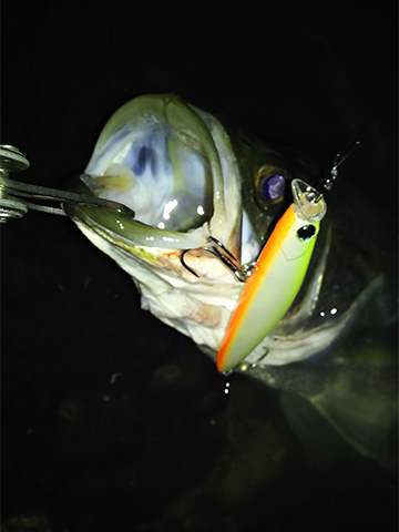 kosuke110F